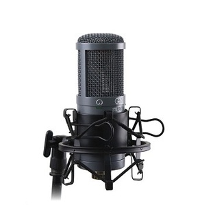 AuraSonics "AD22S STEREO"
