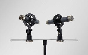 AuraSonics "AP22-MP"