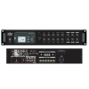 SVS Audiotechnik "MSA-250 PRO"